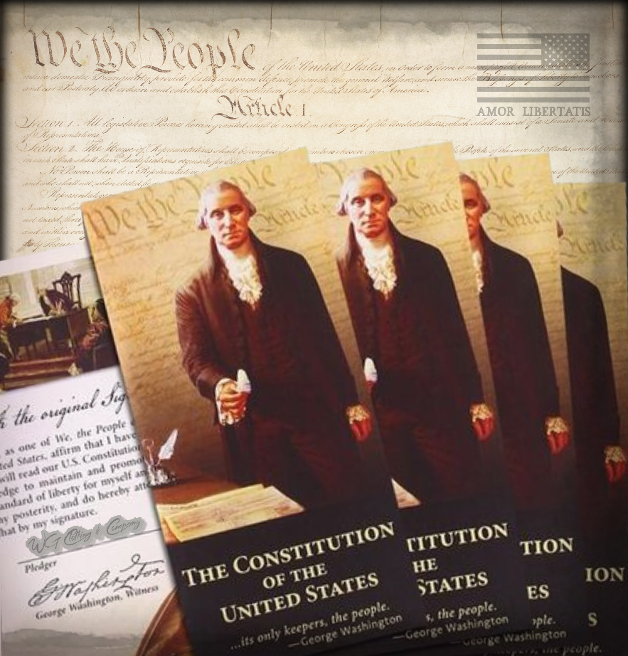 Pocket Constitution